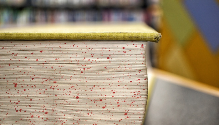 疫情本土最新信息：防疫知识与实时动态